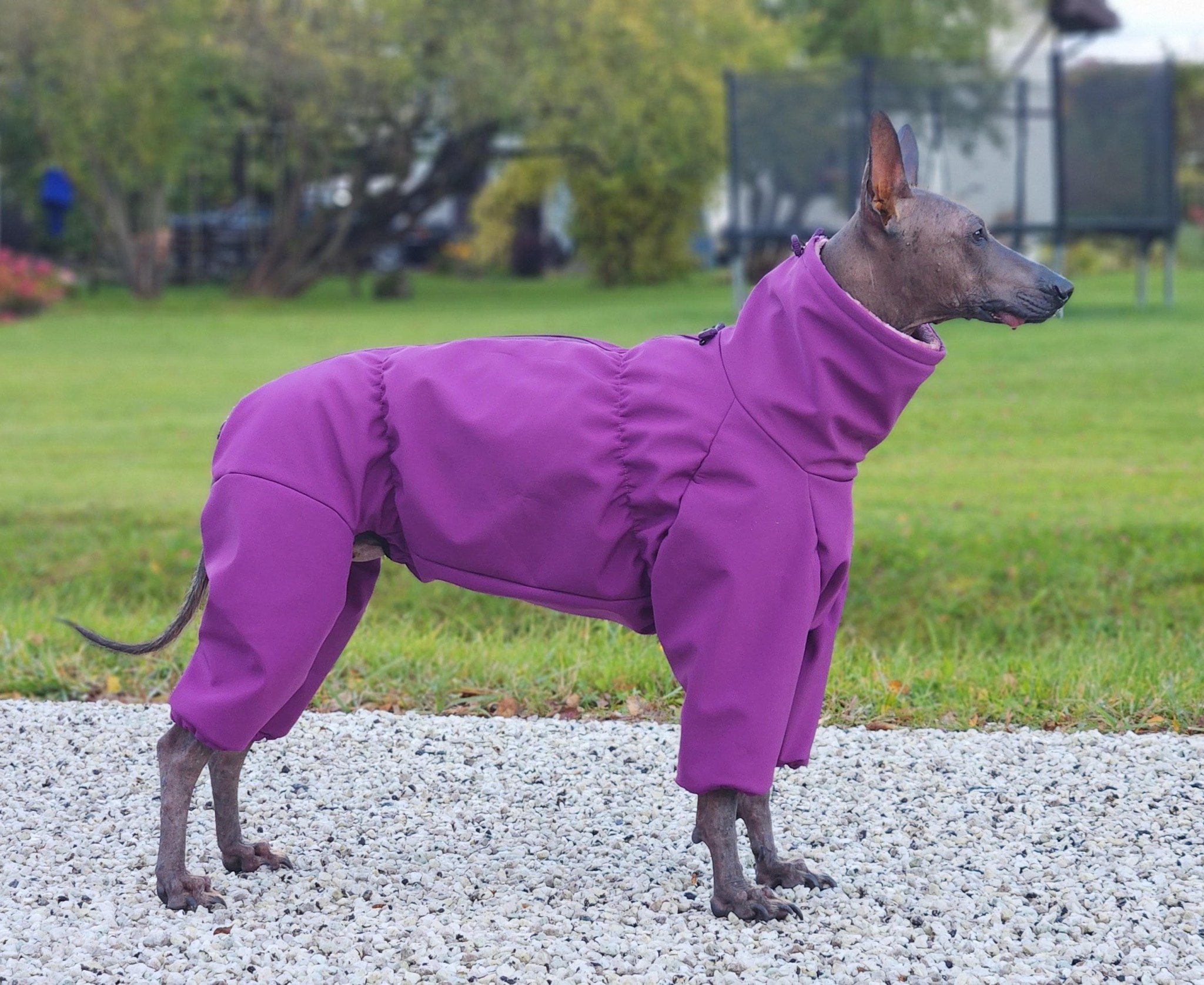 Comfortable handmade dogwear