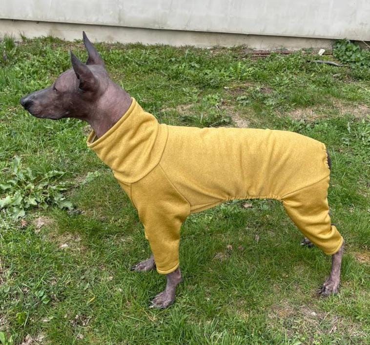 Hairless dog wearing a mustard yellow handmade jumpsuit