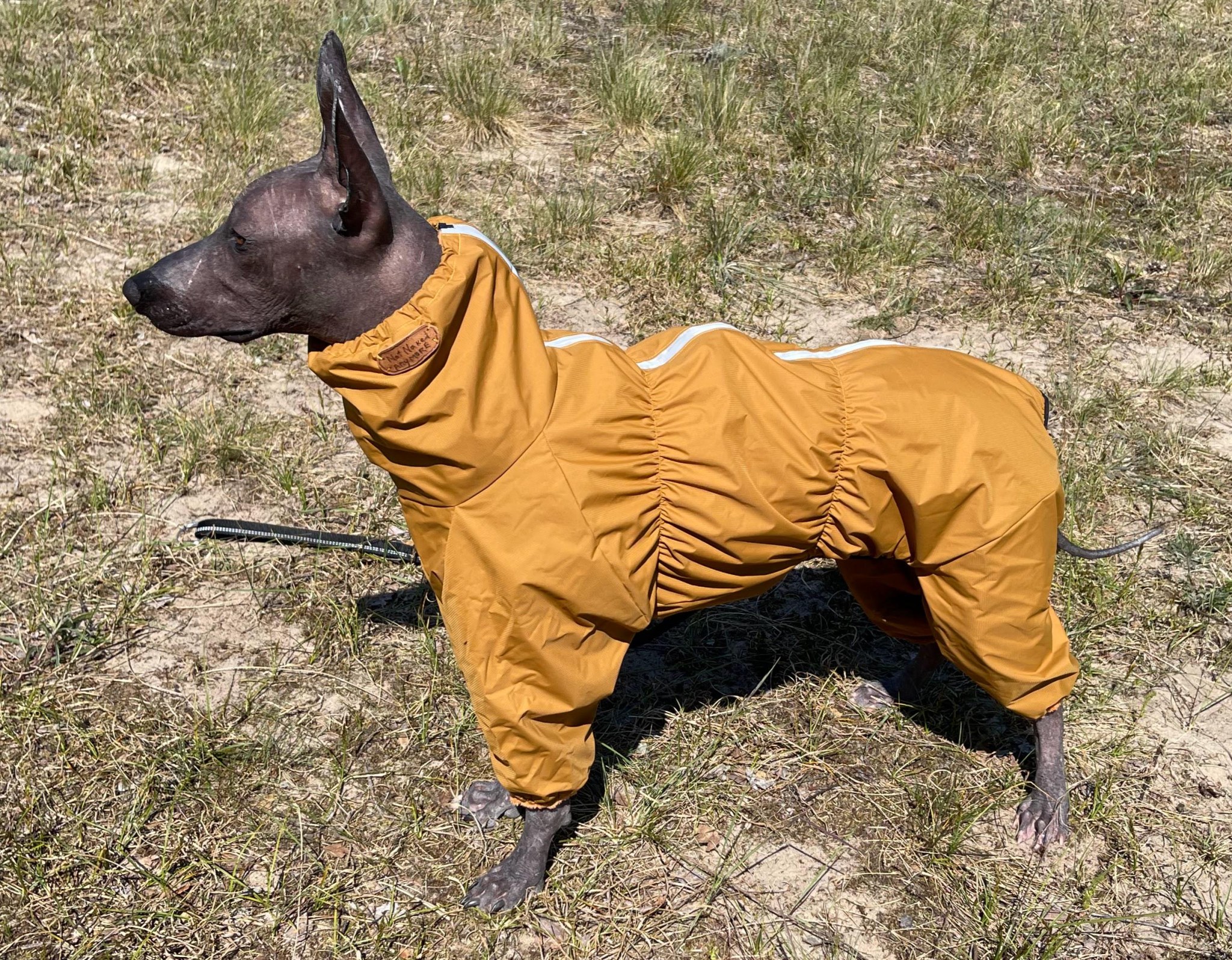 Waterproof Raincoat: Fleece Lined Dog Custom Fit for Xolo Peruvian AHT Hairless Breeds
