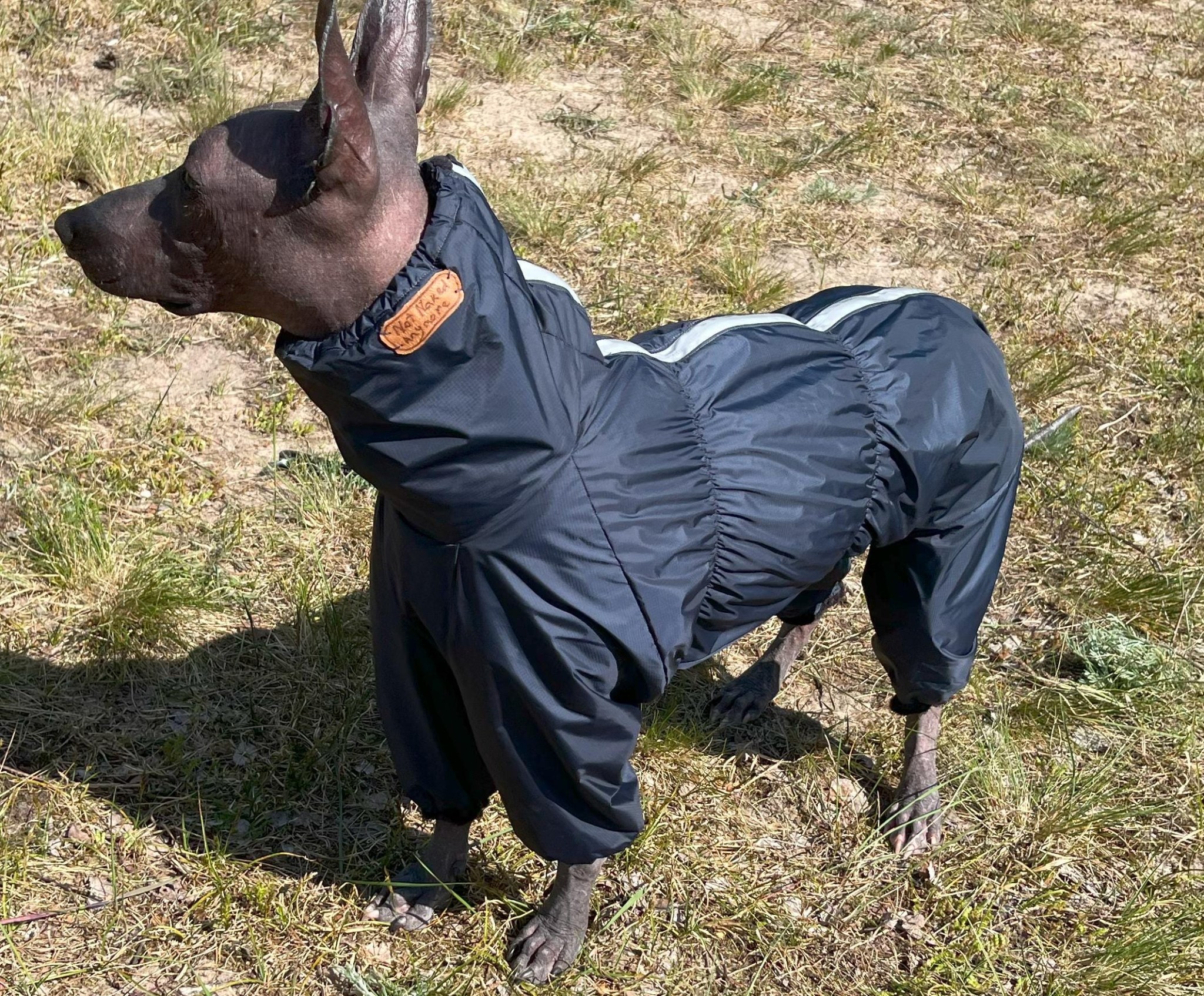 Waterproof and Windproof Warm Raincoat with Fleece Lining. Best for Hairless Breeds like Xoloitzcuintli, Peruvian and AHT