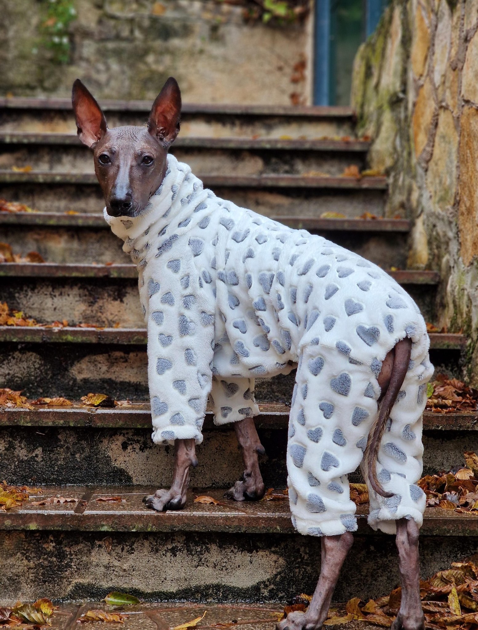 Cozy Fluffy Velsoft Fleece Dog Pajamas: Hairless Breed Onesie in many different colors