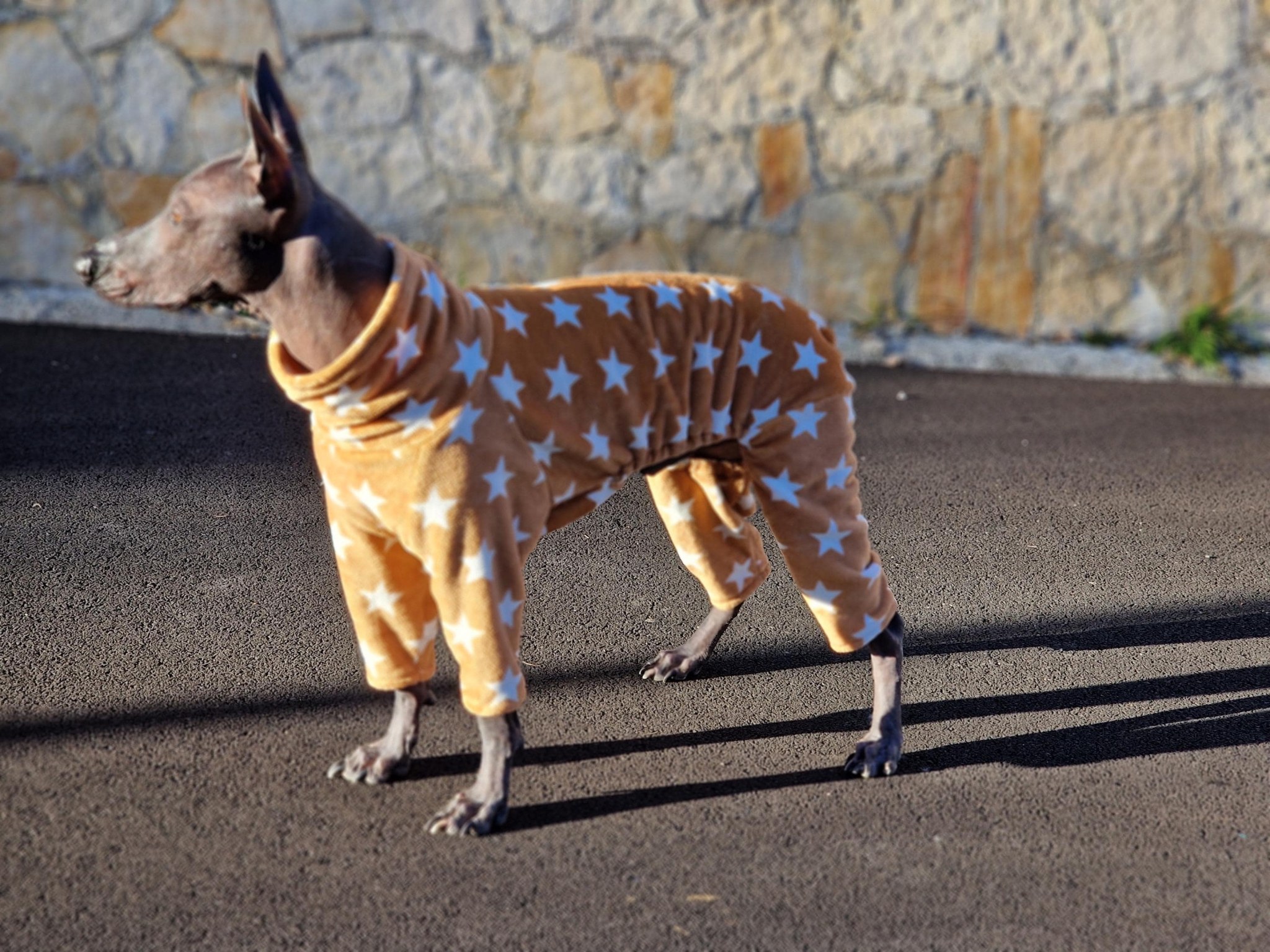 Fluffy Velsoft Fleece Dog Pajamas: Custom Fluffy Overall for Hairless Breeds