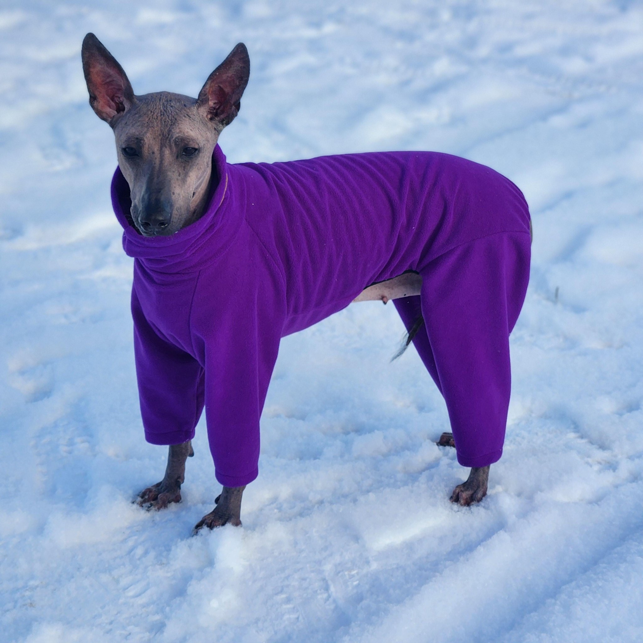 Fleece Dog Pajamas: Custom Warm Overall for Hairless Breeds - Xoloitzcuintle, Peruvian, AHT, Short Haired